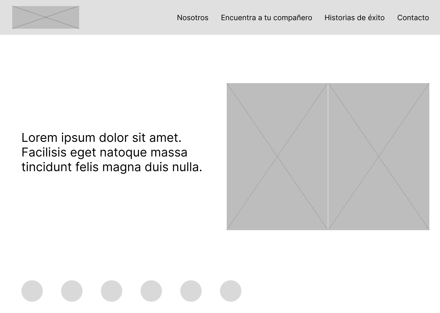 Homepage de Patitas Unidas Wireframe