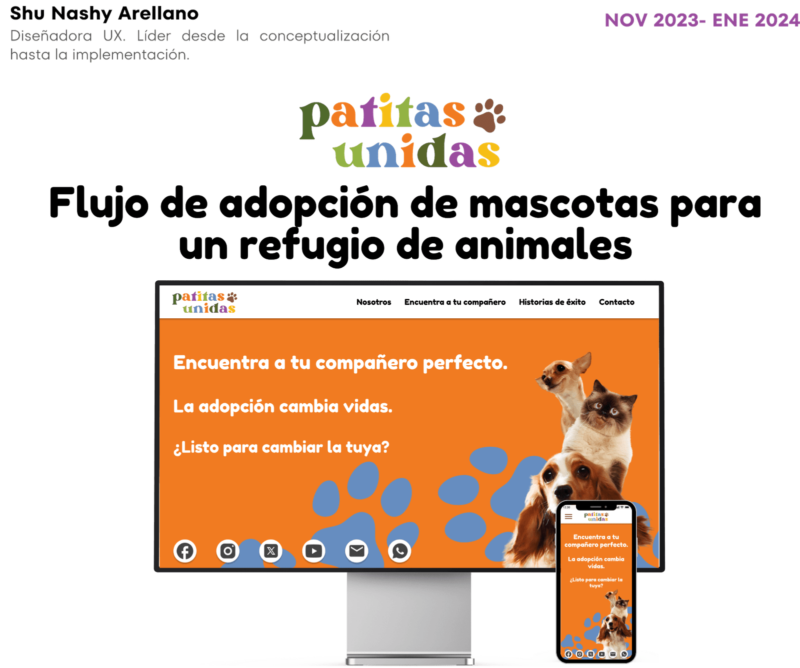 Imagen del hero de proyecto PatitasUnidas Small