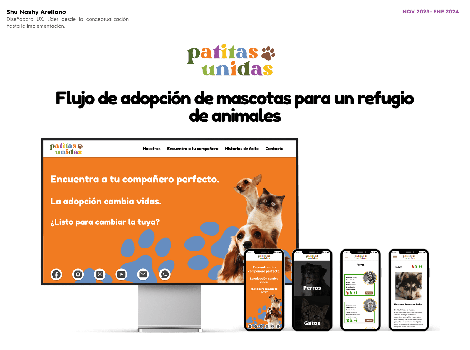 Imagen del hero de proyecto PatitasUnidas Large