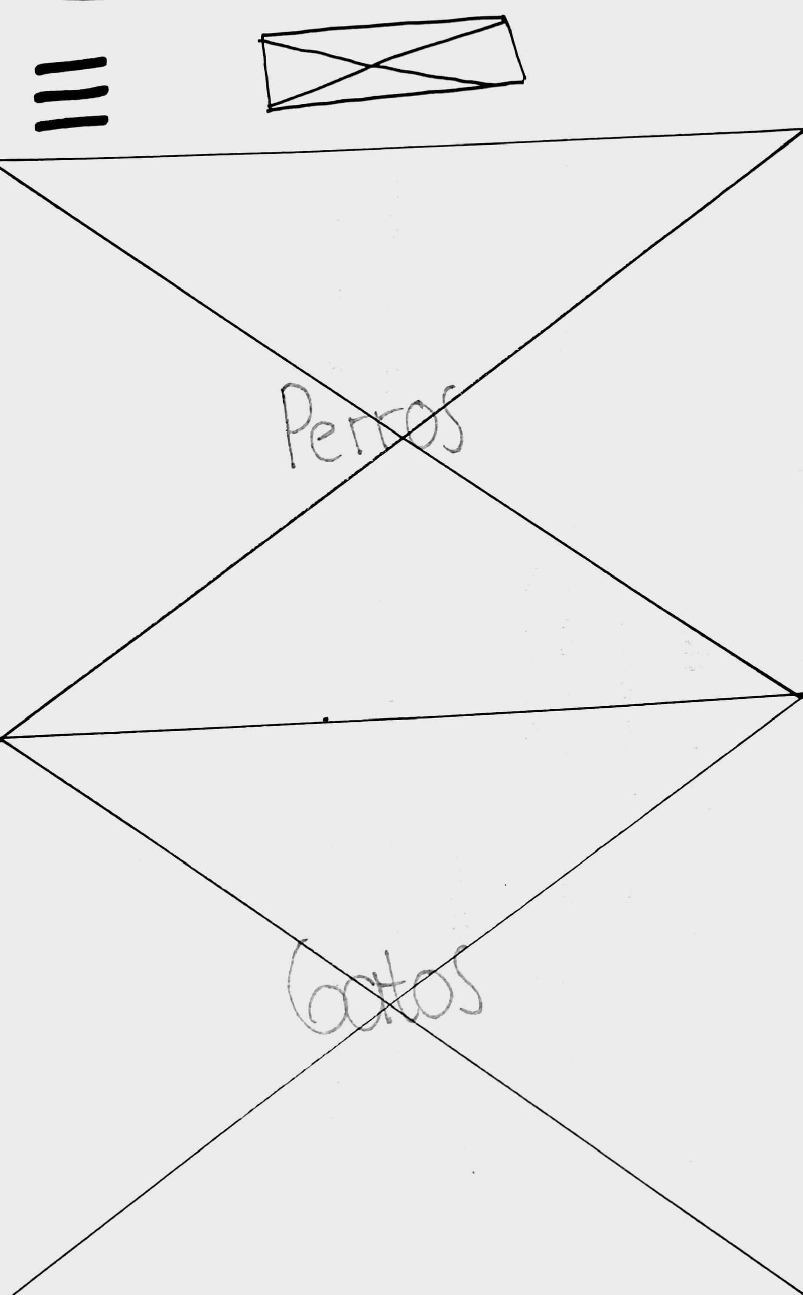 Encuentra a tu compañero Patitas Unidas Wireframe