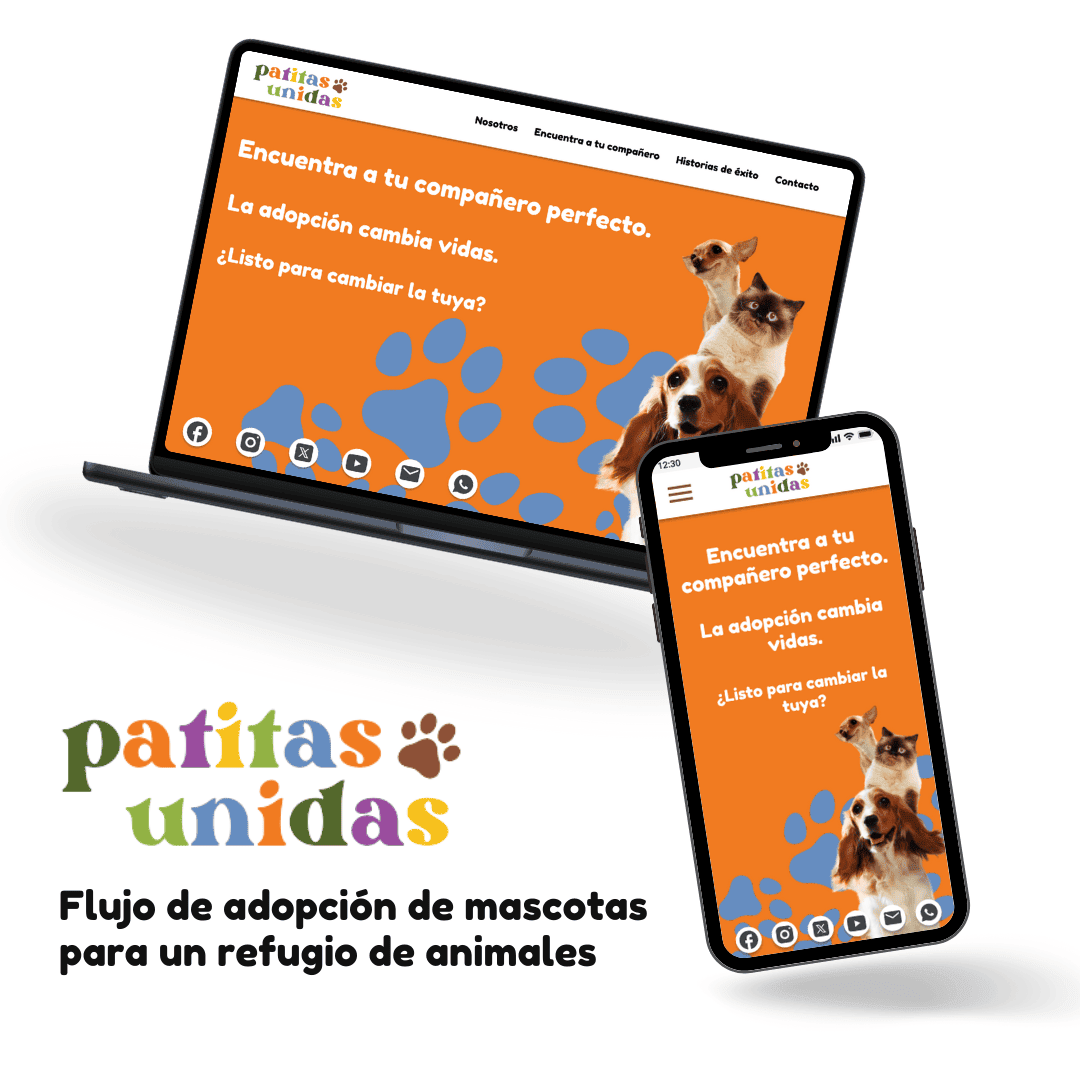 imagen del proyecto